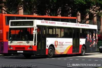 Bus 67 - SMRT Buses Mercedes-Benz O405 (TIB817T)
