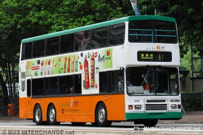 Bus 81 - New World First Bus Volvo Olympian (GE1766)