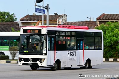 VDP6219 · T20