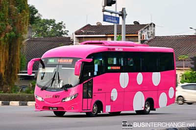 Bus M22 - BAS.MY Melaka Hino XZU720R (VJJ9176)