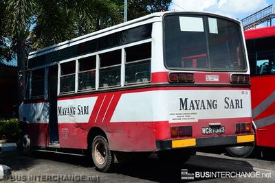 WCR7343 - Mayang Sari