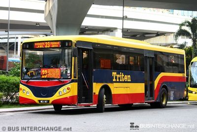 Bus 23 - Causeway Link Daewoo BH115 (WEX 967)