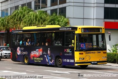 Bus S1 - Causeway Link Dennis Dart (WFB3455)