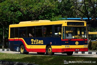 Bus 112 - Causeway Link Dennis Dart (WFB4461)