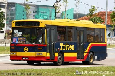 Bus S1 - Causeway Link Dennis Dart (WFB4461)