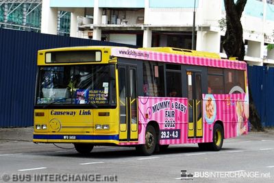 Bus S1 - Causeway Link Dennis Dart (WFB9458)