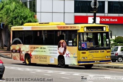Bus S1 - Causeway Link Dennis Dart (WFB9458)