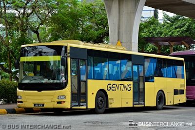 WGA4136 - Genting Scania L113CRL