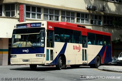 Bus 43 - SJ Bus Nissan Diesel JP251 (WNT8731)