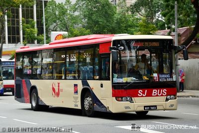 Bus 43 - SJ Bus Higer KLQ6128G (WXY7403)