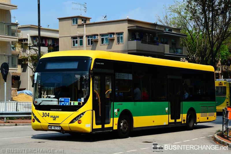 304 / HB9775 - Park Island Transport Youngman JNP6122GR