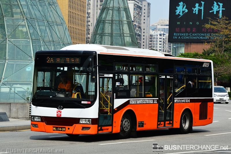 Bus 2A - TCM Wuzhoulong FDG6920 (ML-74-39)
