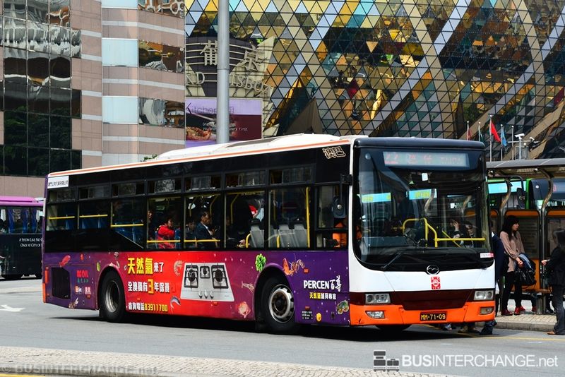 Bus 22 - TCM Wuzhoulong FDG6121 (MM-71-09)