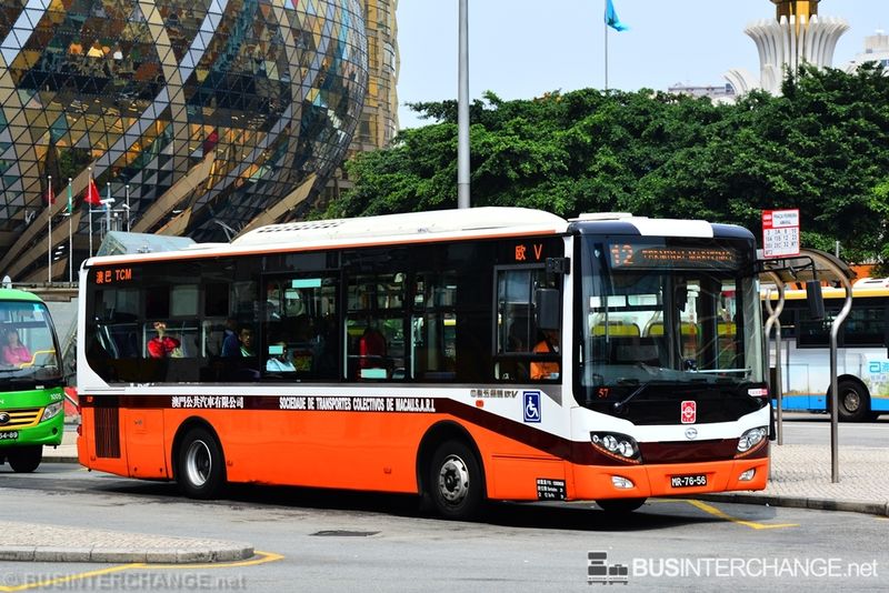 Bus 12 - TCM Wuzhoulong FDG6951 (MR-76-56)