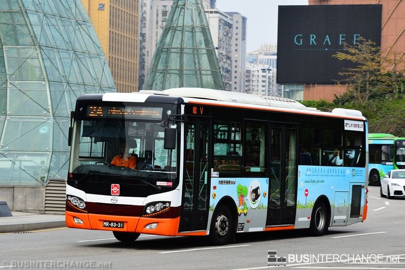 Bus 2A - TCM Wuzhoulong FDG6951 (MR-83-31)