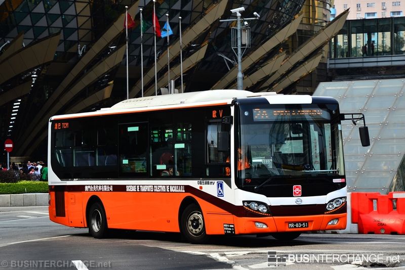 Bus 2A - TCM Wuzhoulong FDG6951 (MR-83-51)