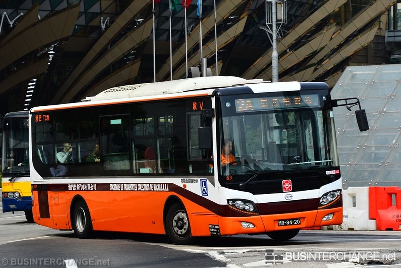 Bus 2A - TCM Wuzhoulong FDG6951 (MR-84-20)