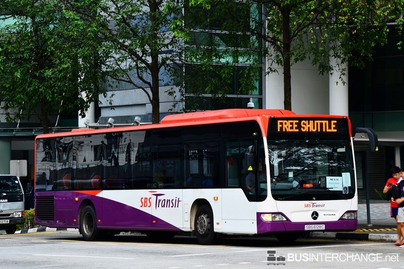 SBS Transit Mercedes-Benz Citaro (SBS6128C) - FREE SHUTTLE
